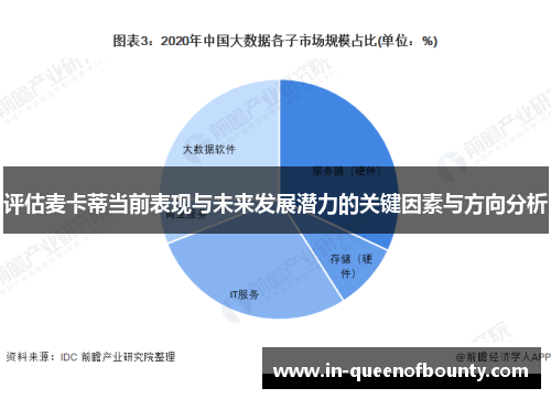 评估麦卡蒂当前表现与未来发展潜力的关键因素与方向分析 评估麦卡蒂当前表现与未来发展潜力的关键因素与方向分析